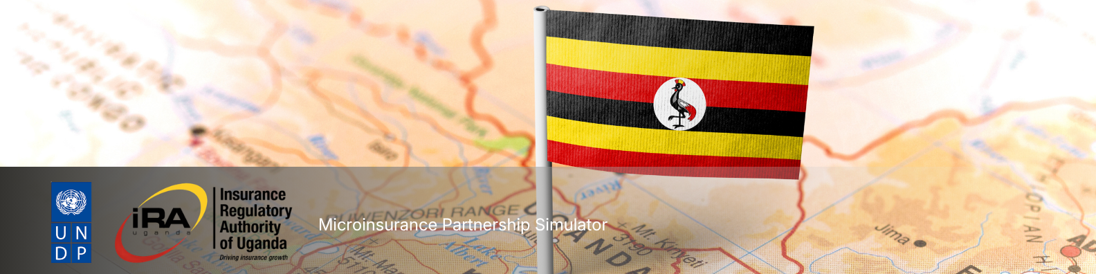 Microinsurance Partnership Simulator