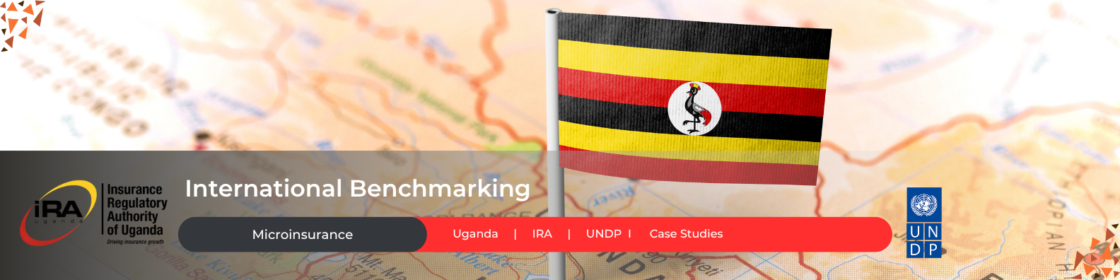 Strategic Microinsurance Dashboard