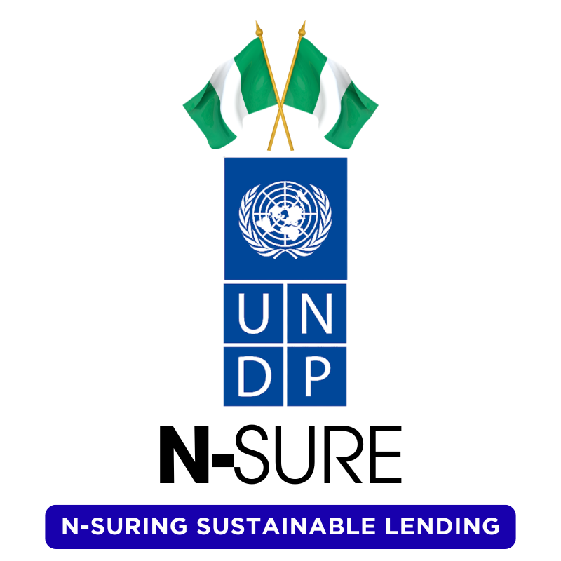 N-SURE Institutional Portal Logo