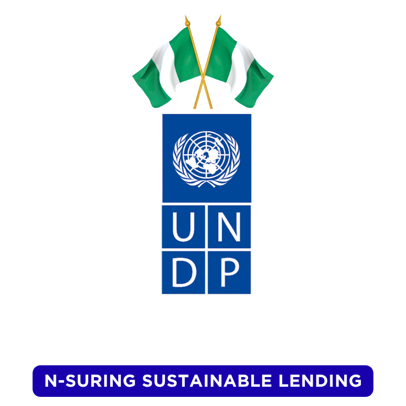UNDP N-SURE