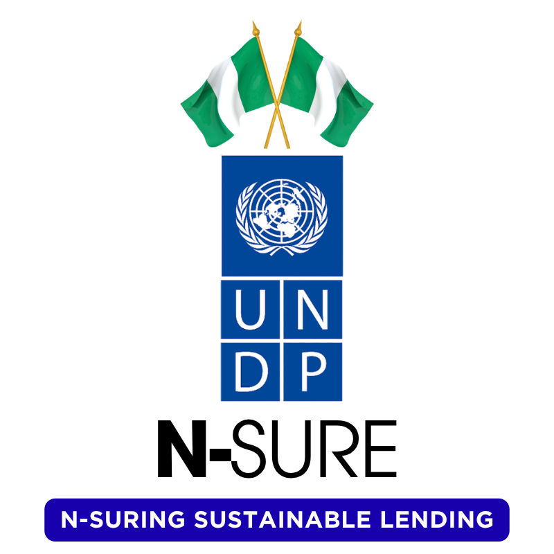 UNDP N-SURE Logo